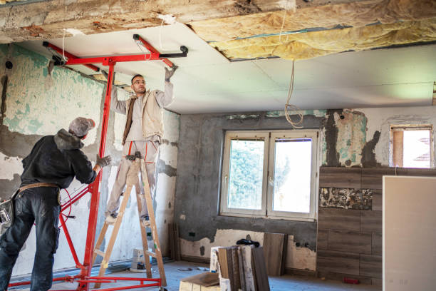 Best Eco-Friendly Insulation in Catahou, LA
