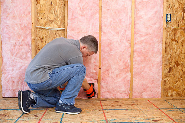Best Insulation Maintenance and Repair in Catahou, LA
