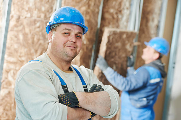 Best Geographic-Specific Insulation Services in Catahou, LA