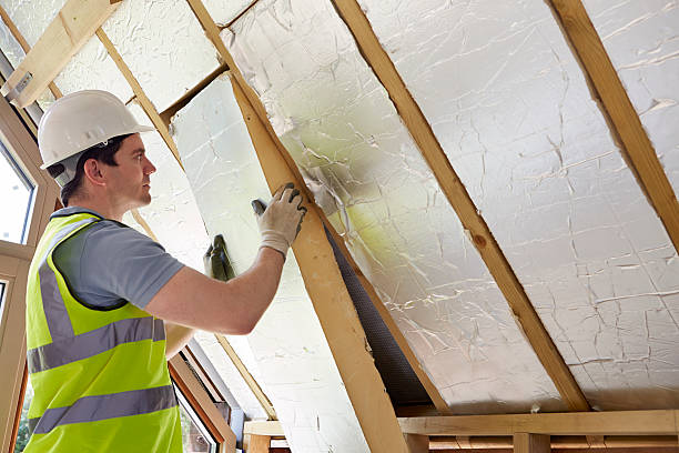 Types of Insulation We Offer in Catahoula, LA