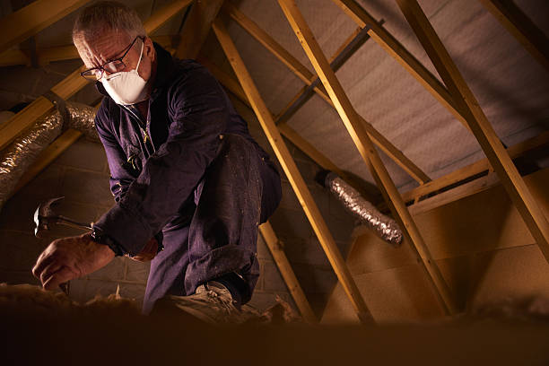 Best Spray Foam Insulation in Catahou, LA