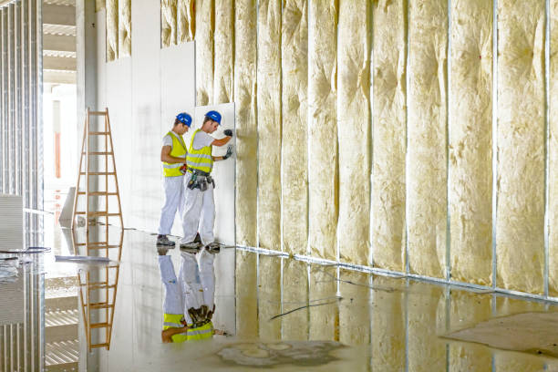 Best Cellulose Insulation in Catahou, LA